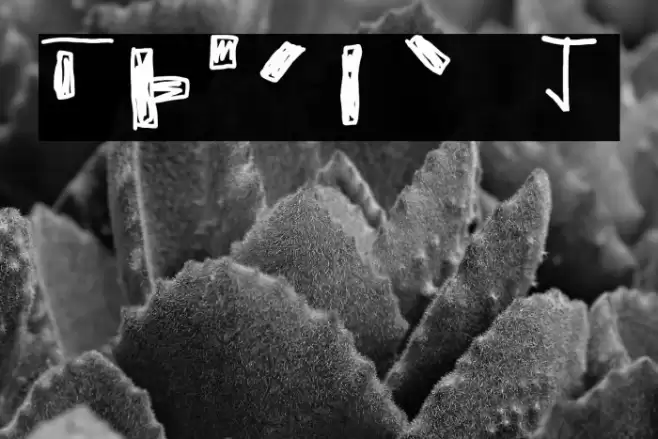 Braile 1 Font examples