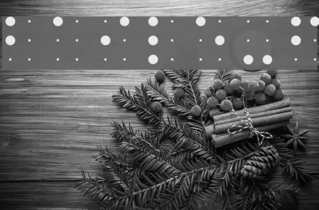 Braile-font Font examples