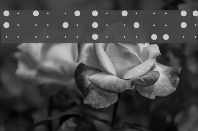 Braile-font Font examples