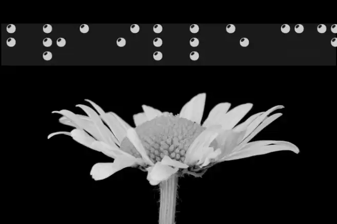 Braille 3D Font examples