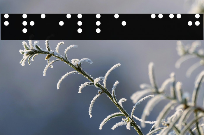 Braille CC0 Example 1