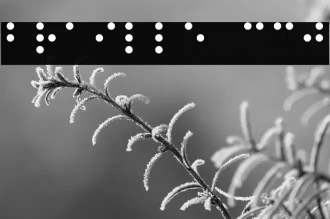 Braille CC0 خط examples