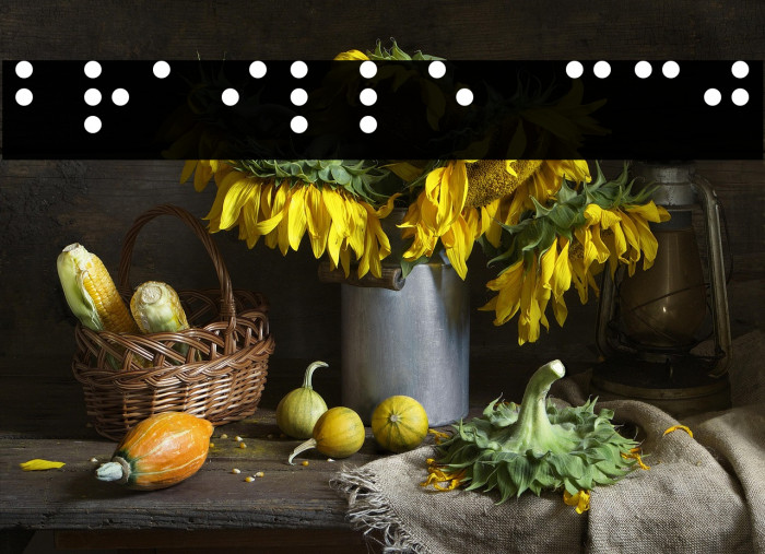 Braille CC0 Example 2