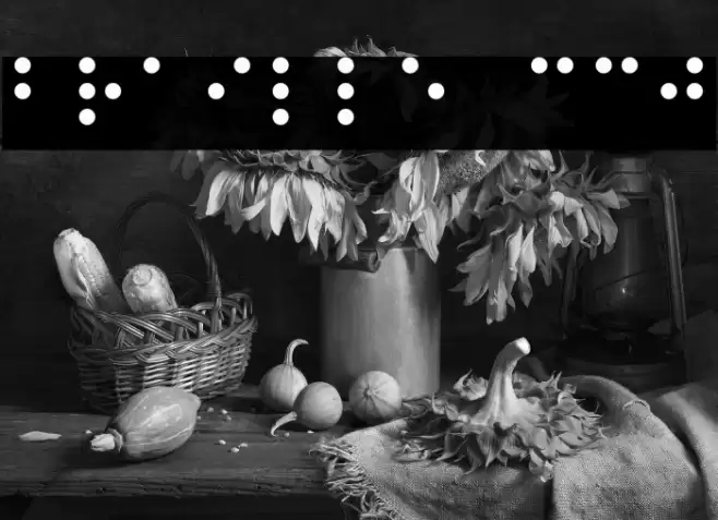 Braille CC0 خط examples