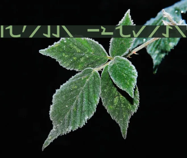 Braille Cursive Example 1
