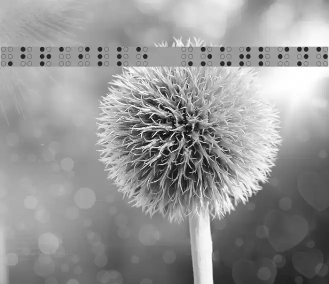 Braille Outline フォント examples