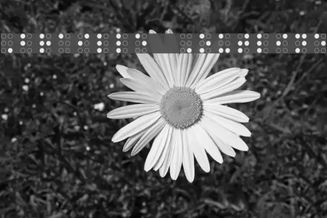 Braille Outline フォント examples