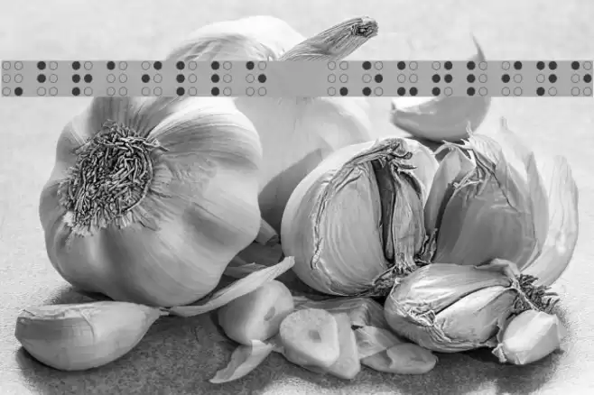 Braille Outline フォント examples