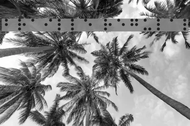 Braille Regular Font examples