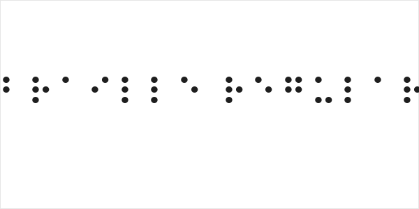 Braille Regular Logo