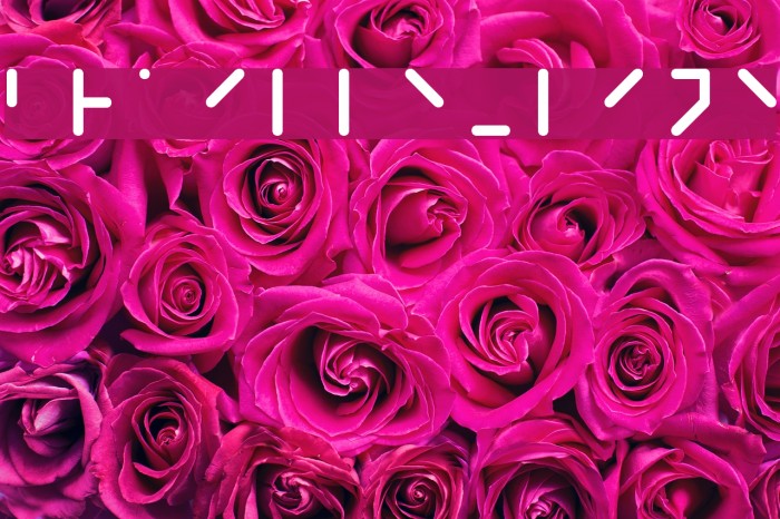 Braille-line Example 2