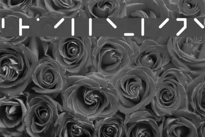 Braille-line Font examples