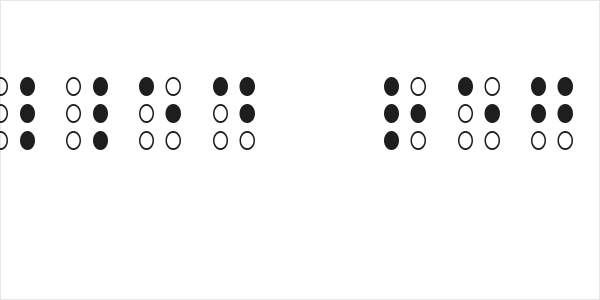 Brailled Regular Logo