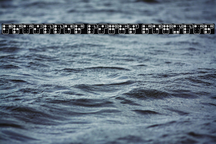 Brailler Light Regular Example 2