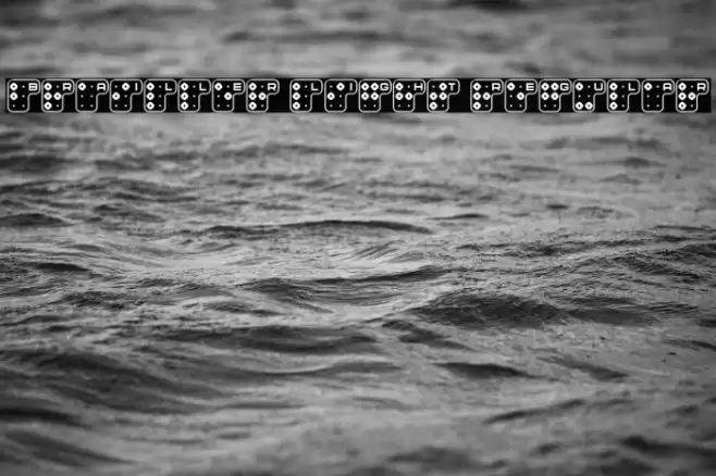 Brailler Light Regular Font examples