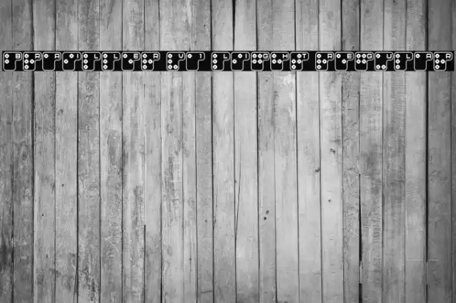 Brailler V1 Light Regular Font examples