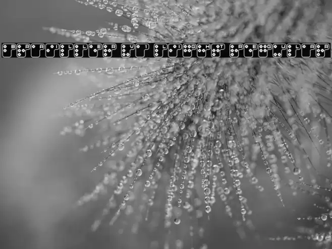 Brailler V1 Light Regular Font examples