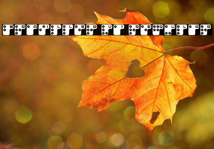 Brailler V1 Regular Example 3