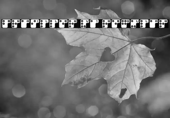 Brailler V1 Regular Font examples