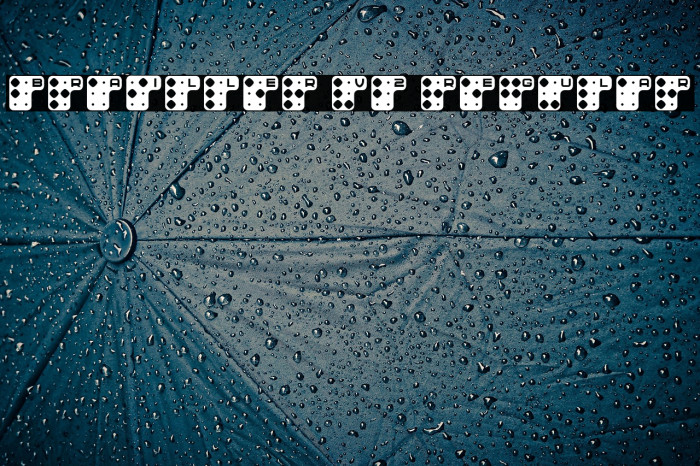 Brailler V2 Regular Example 2