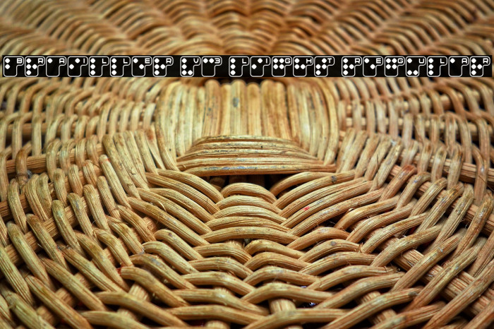 Brailler V3 Light Regular Example 3