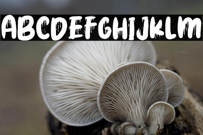 Brain Blood Example 3