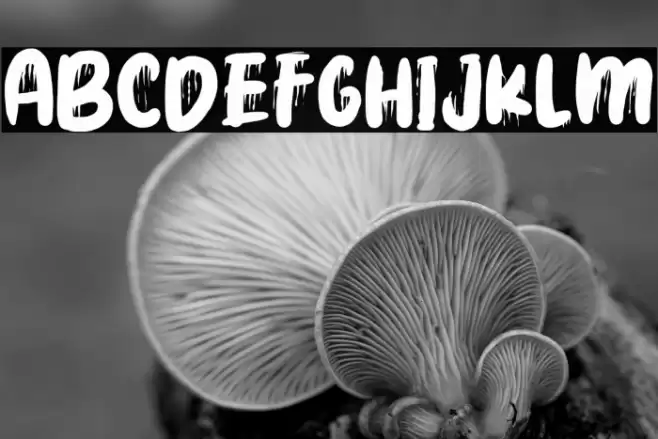 Brain Blood Font examples