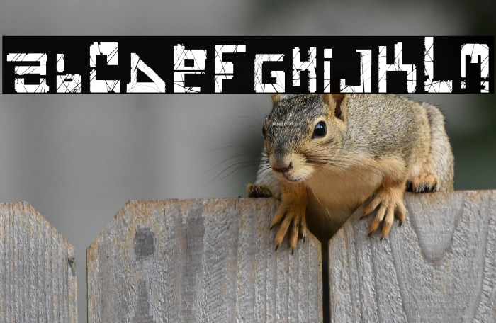 Brain Damage  Example 2