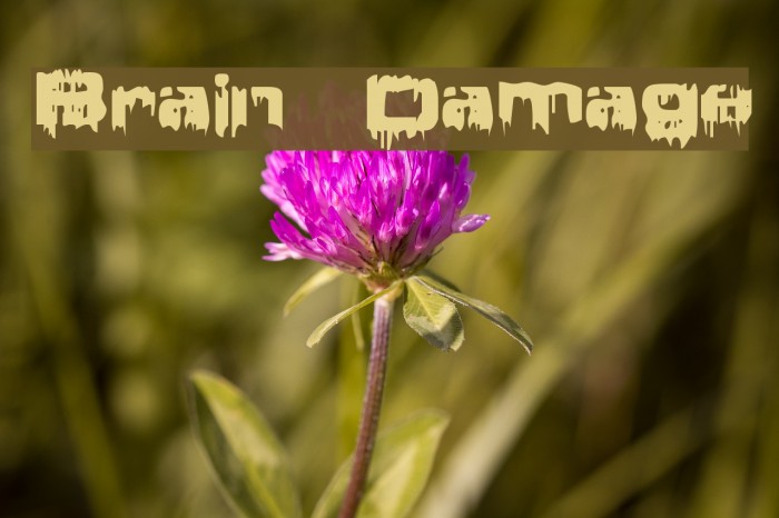 Brain Damage Шрифта examples
