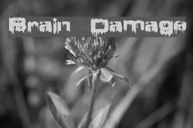 Brain Damage フォント examples