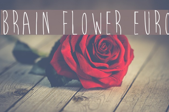 Brain Flower Euro Font examples