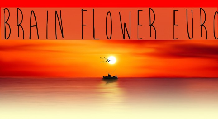 Brain Flower Euro Font examples