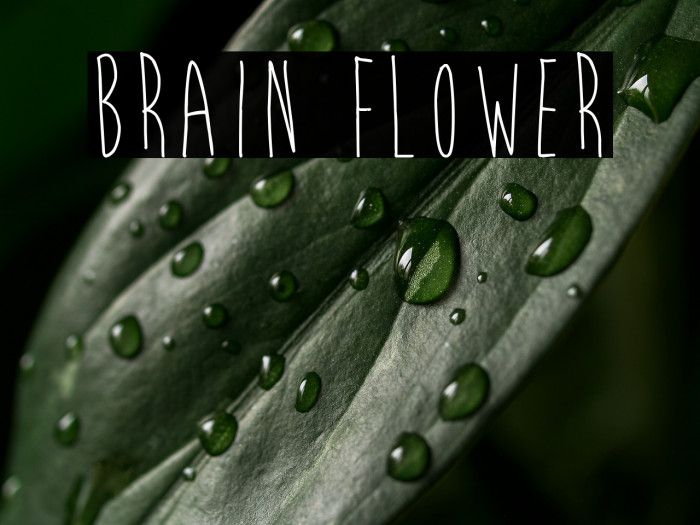 Brain Flower Example 1