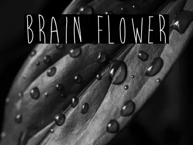 Brain Flower Font examples