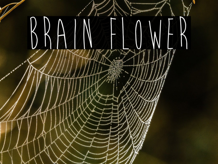 Brain Flower Example 2
