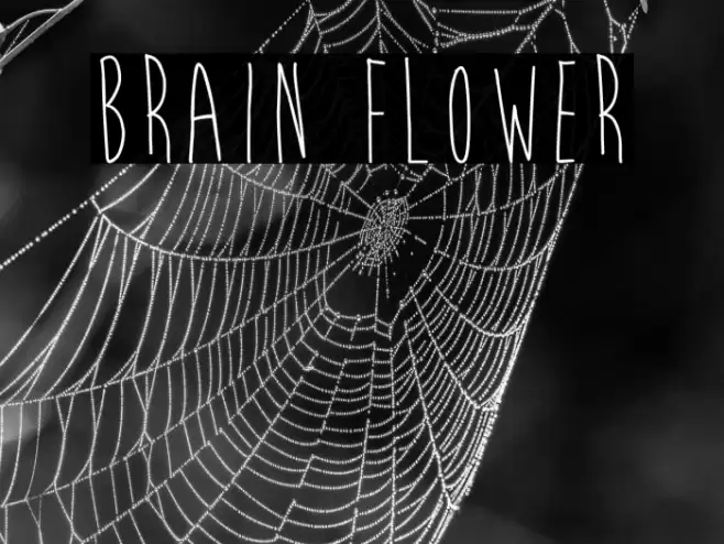 Brain Flower Font examples