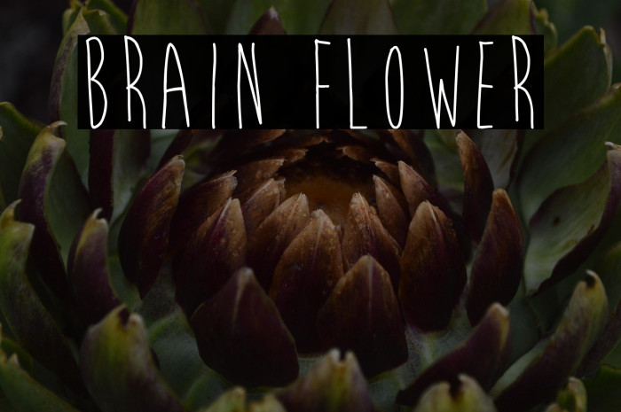 Brain Flower Example 3