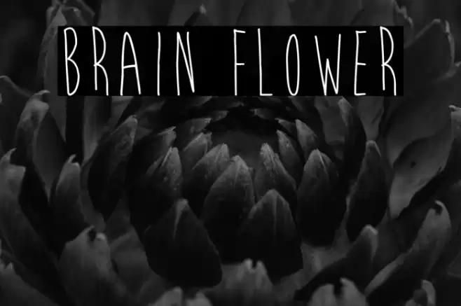 Brain Flower Font examples