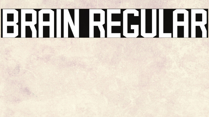 Brain Regular Example 3