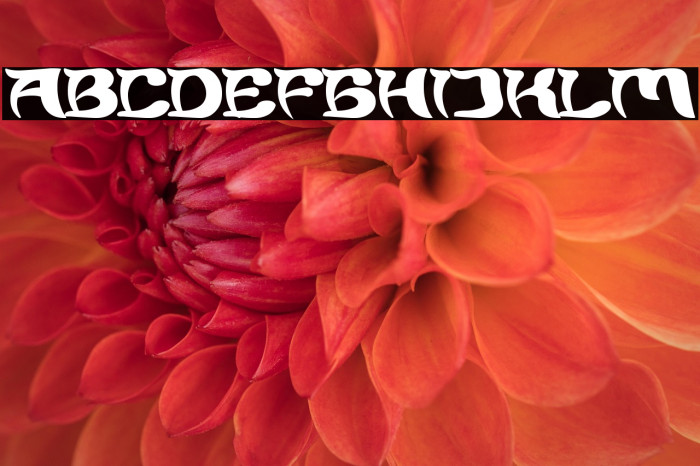 Brain Storm Bold Example 1