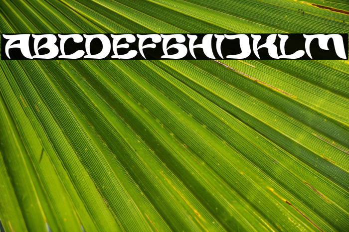 Brain Storm Bold Example 3