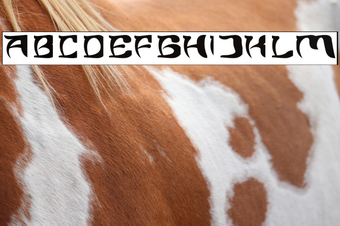 Brain Storm-Inverse Example 1