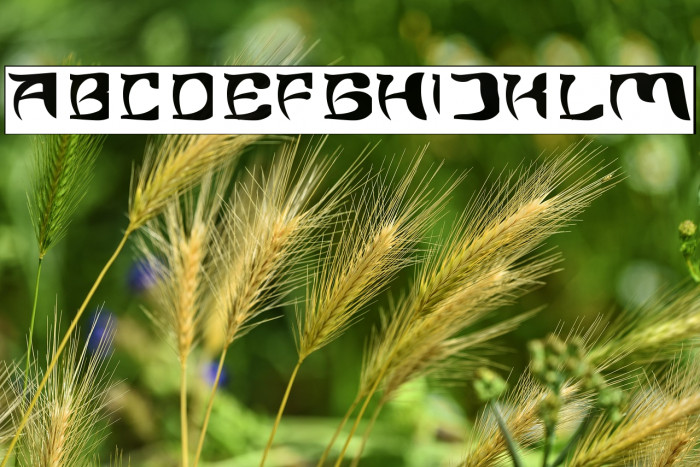 Brain Storm-Inverse Example 3