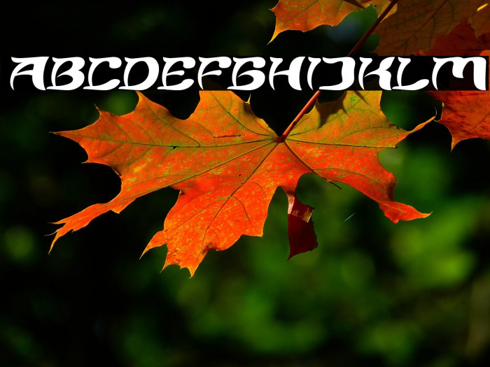 Brain Storm Italic Example 1