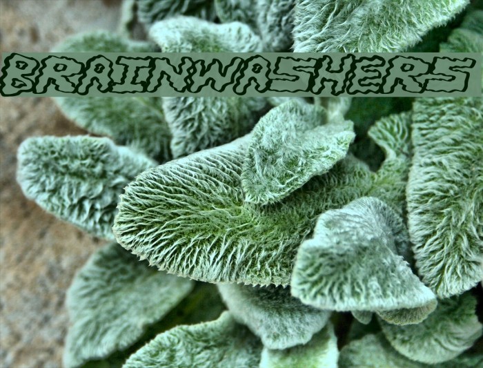 BrainWashers Font examples