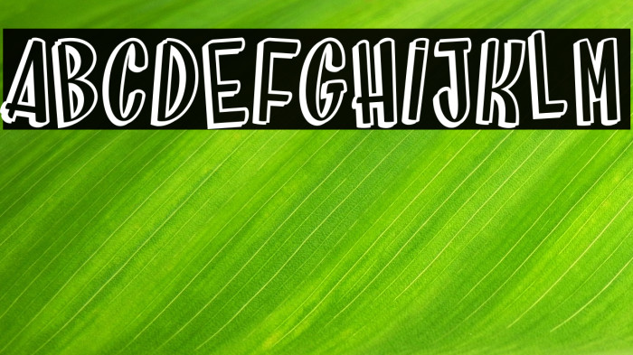 Brainfish_PersonalUseOnly Example 3