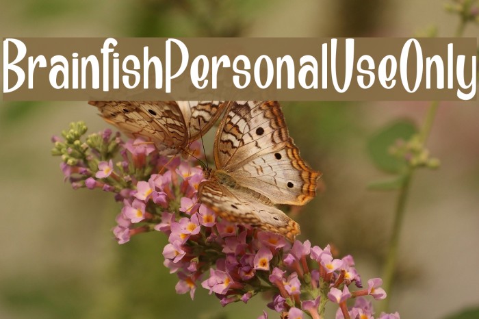 Brainfish_PersonalUseOnly Font examples