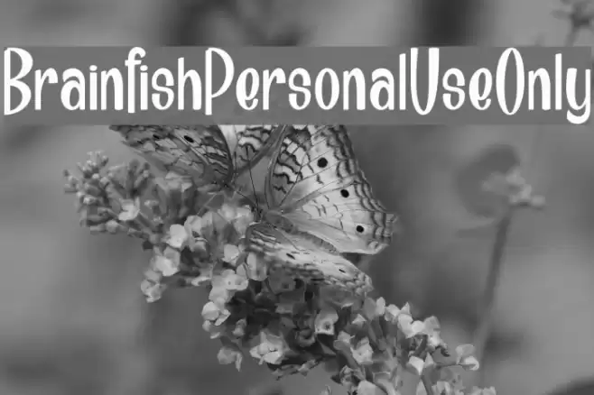 Brainfish_PersonalUseOnly Шрифта examples