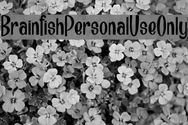 Brainfish_PersonalUseOnly Шрифта examples