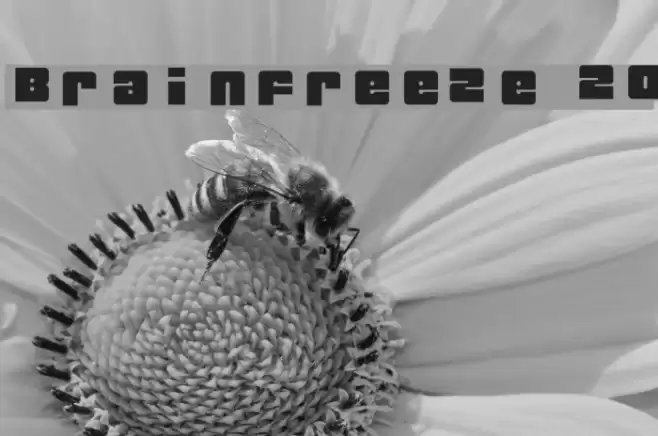 Brainfreeze 2.0 Font examples